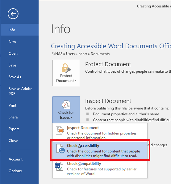 Word Check Accessibilty Tool option.